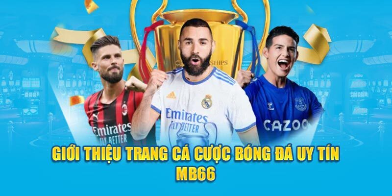 Nhà cái cá cược bóng đá uy tín thưởng cao