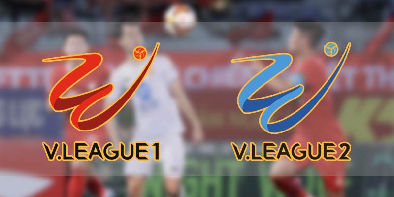 Hệ thống bóng đá V-League bắt đầu mùa giải chuyên nghiệp đầu tiên trong giai đoạn 2001/2002